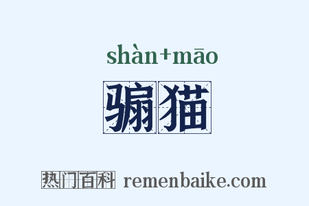 骟猫是什么意思的图片